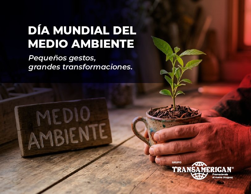 Día Mundial del Medio Ambiente: Pequeños gestos, grandes transformaciones